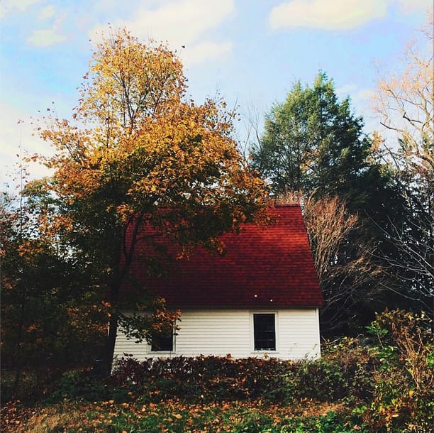 Backyard in Connecticut - image 1 - student project