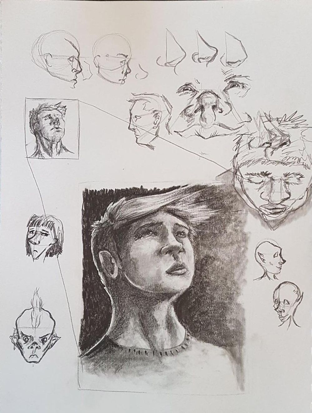 Noses - image 1 - student project
