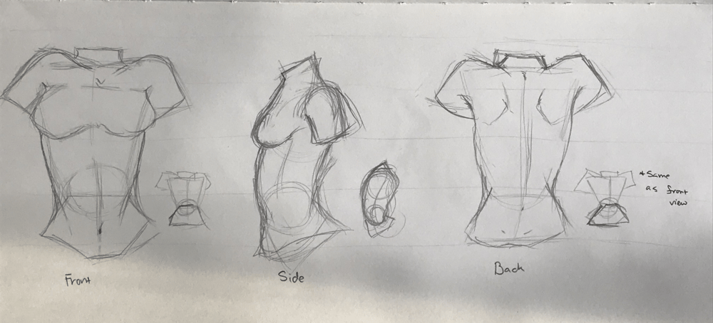 Female Torso Practice - image 2 - student project