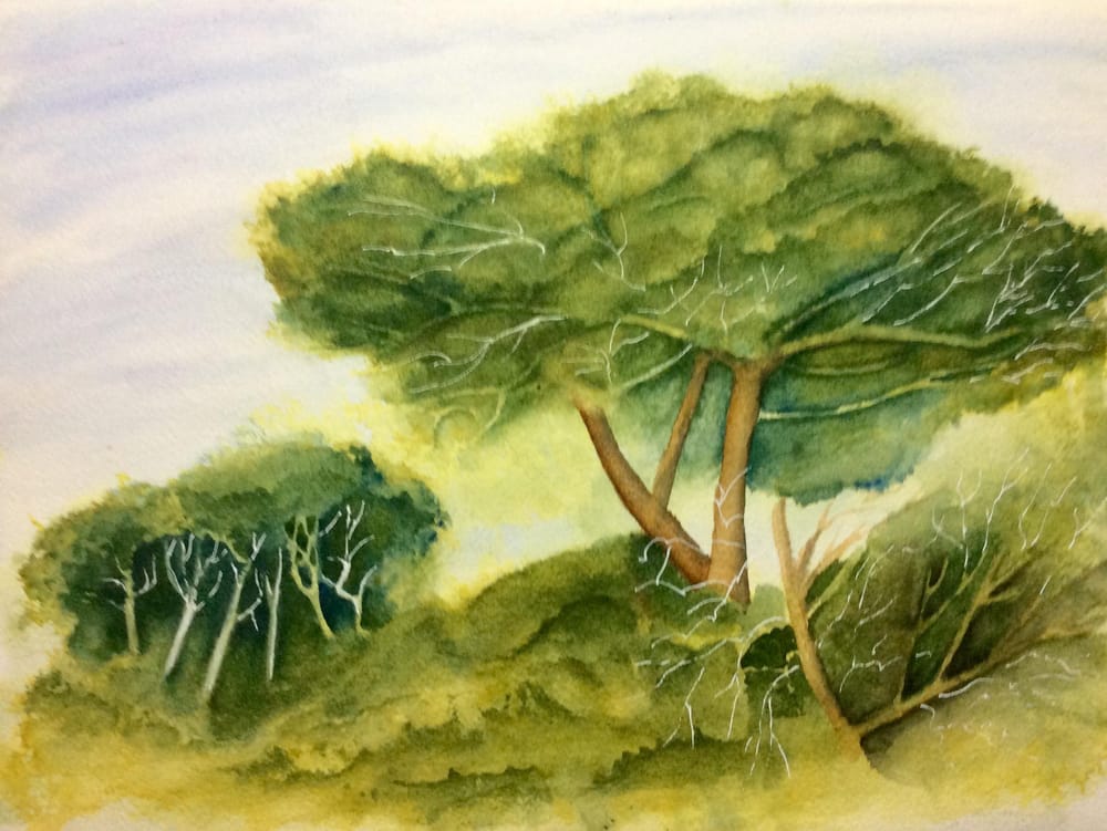 Some pines - image 2 - student project