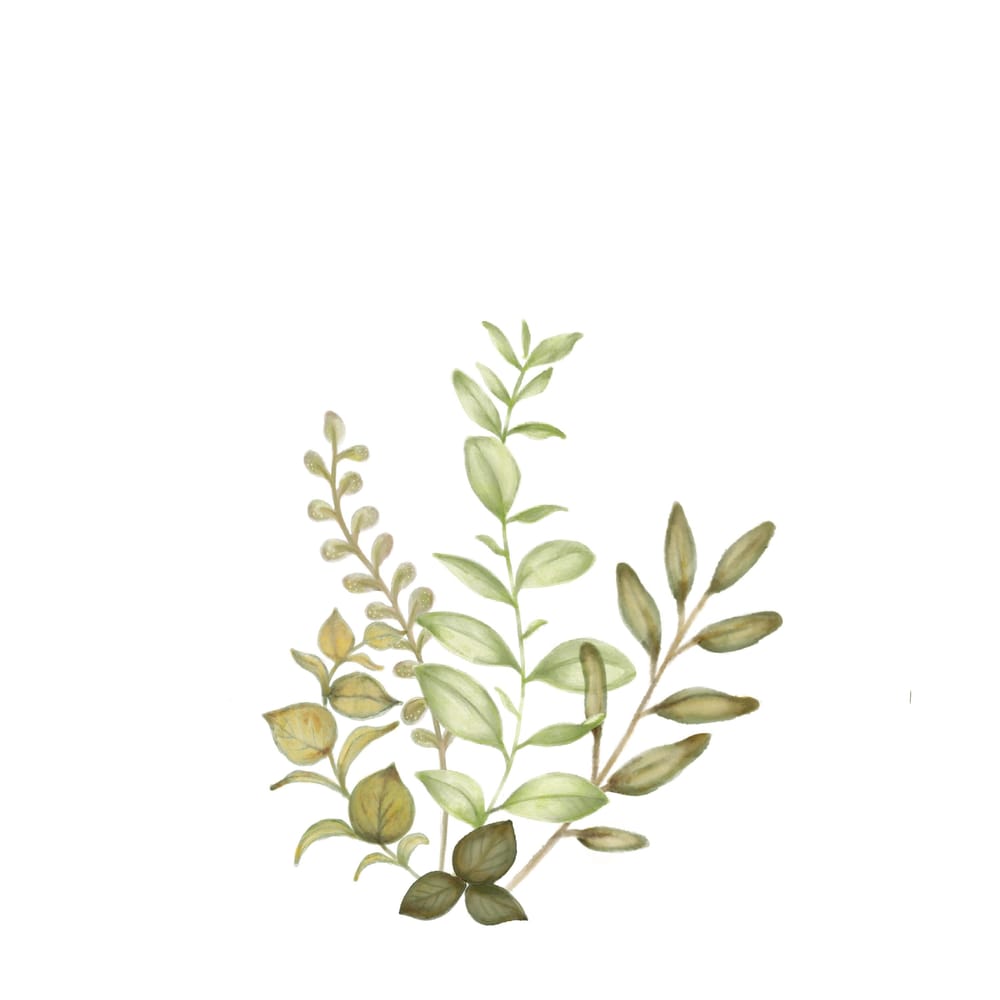 Botanical Pattern in Watercolor - image 1 - student project