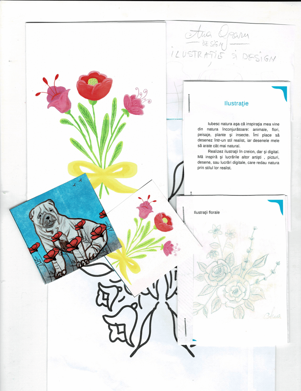 Portfolio pitch - image 4 - student project