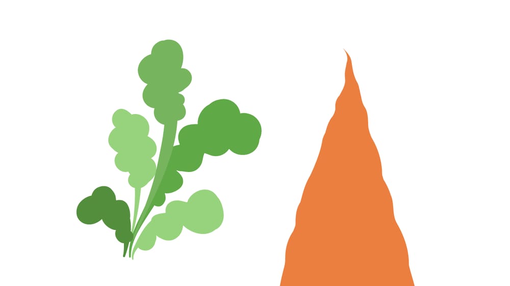 Sir Carrot! - image 1 - student project