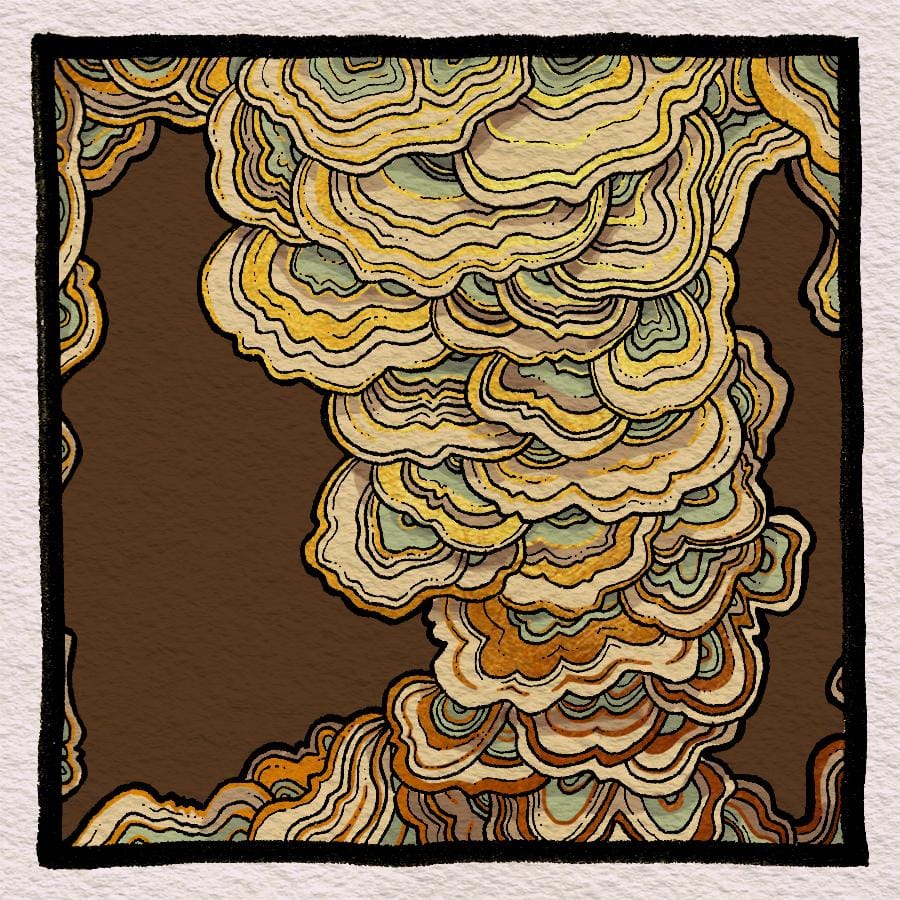 Maro's Patterns - image 12 - student project