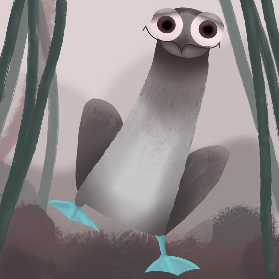 The blue-footed booby dancer bird - image 1 - student project