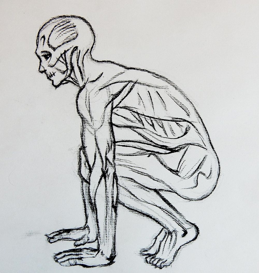 Example - side view drawings - image 3 - student project