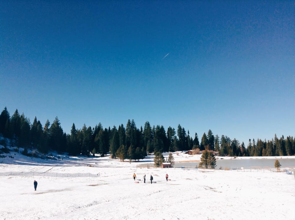 Winter Wonderland  - image 4 - student project