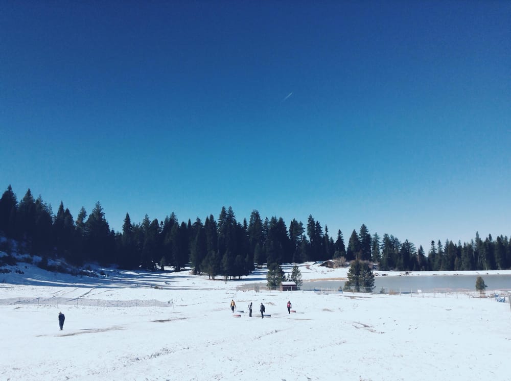Winter Wonderland  - image 3 - student project
