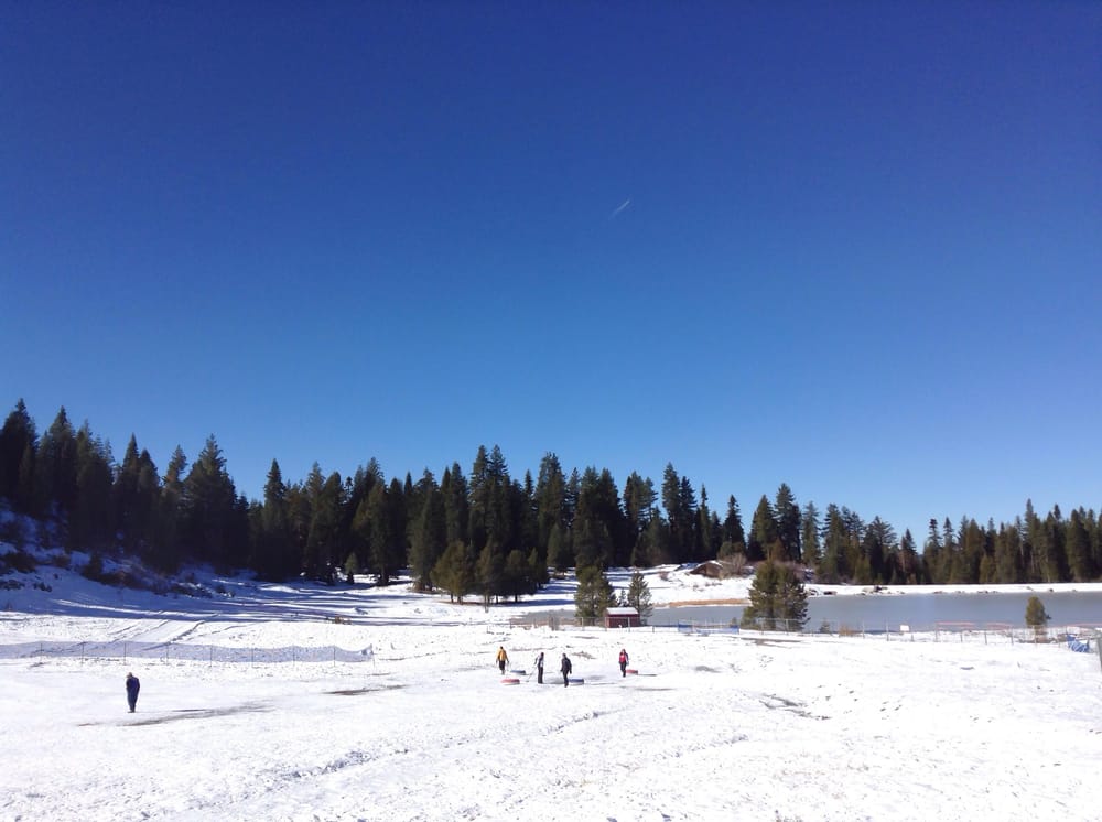 Winter Wonderland  - image 1 - student project
