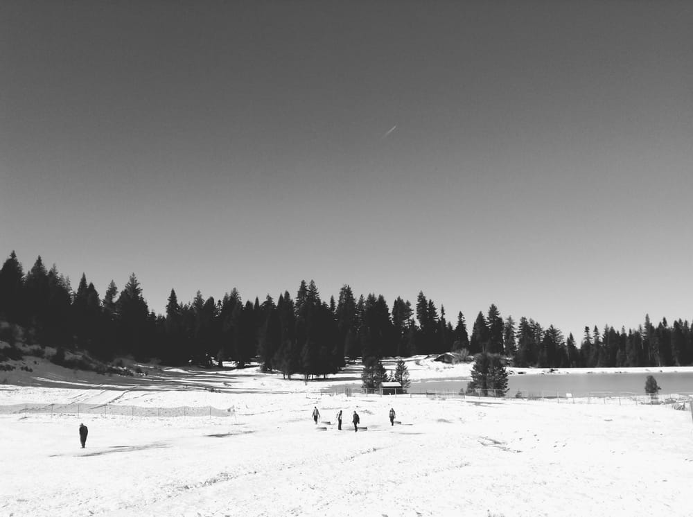 Winter Wonderland  - image 2 - student project