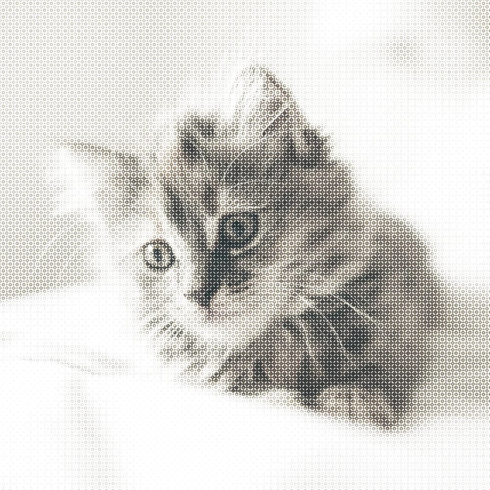 Halftone Cat - image 7 - student project