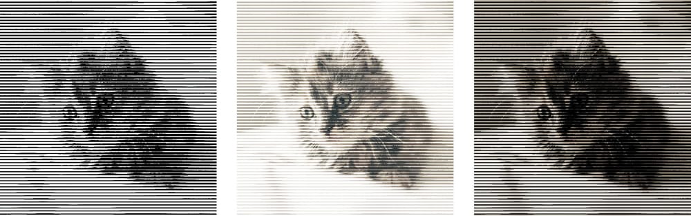 Halftone Cat - image 1 - student project