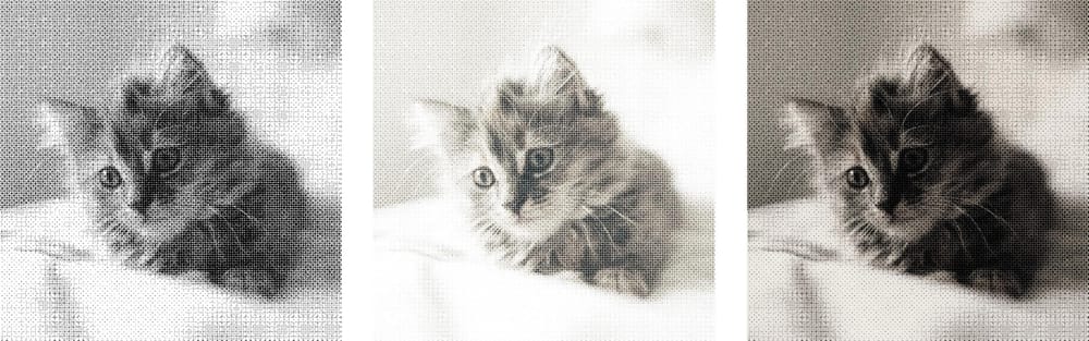 Halftone Cat - image 2 - student project