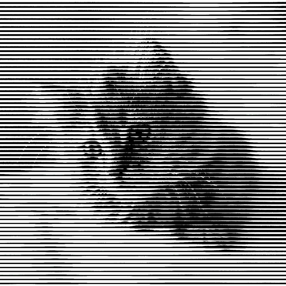 Halftone Cat - image 3 - student project