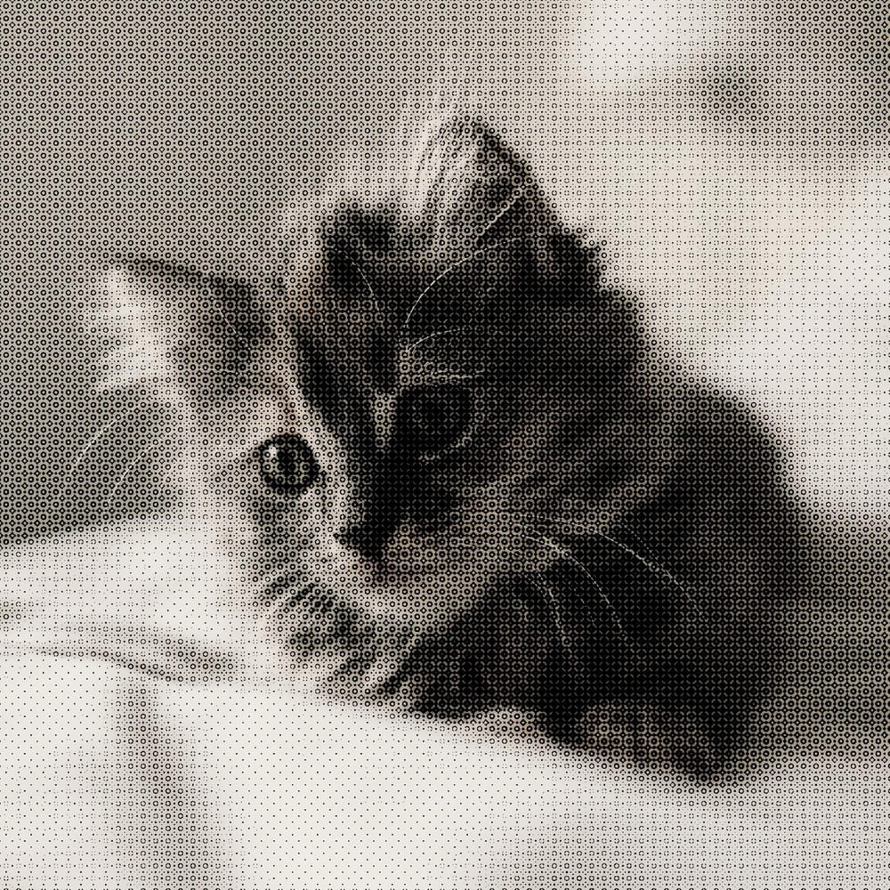 Halftone Cat - image 8 - student project