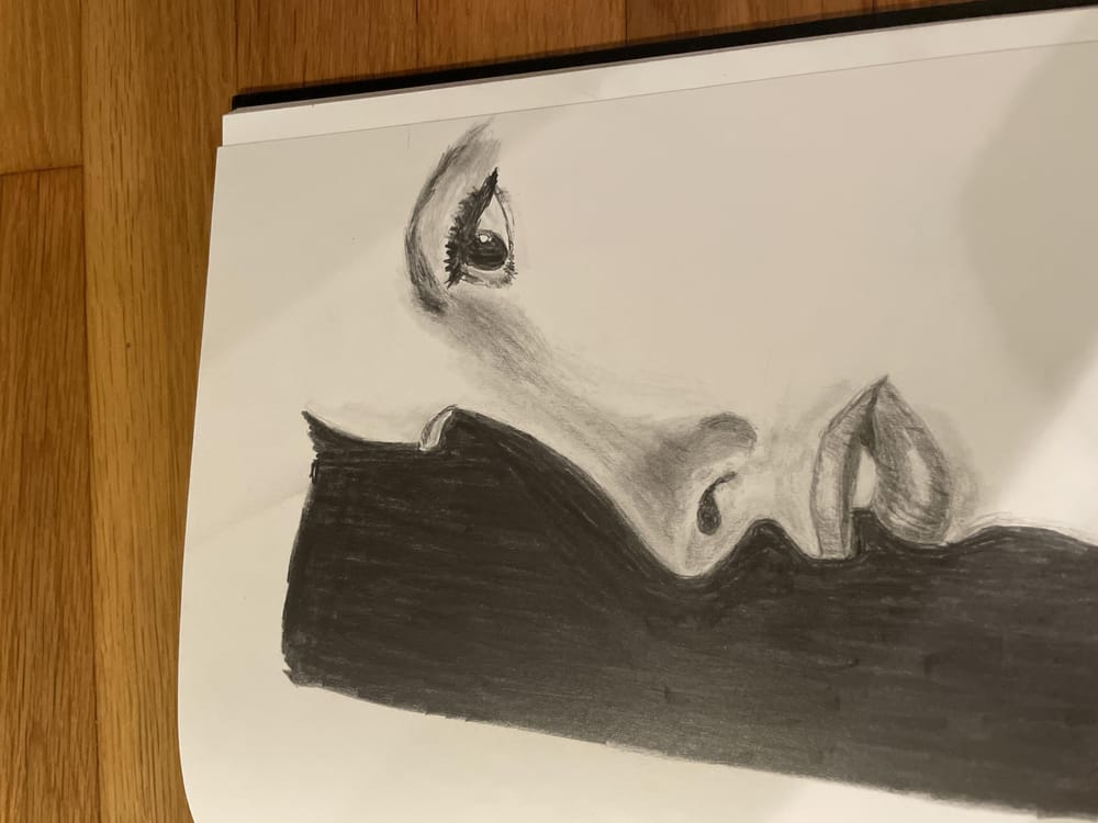 Noses - image 2 - student project