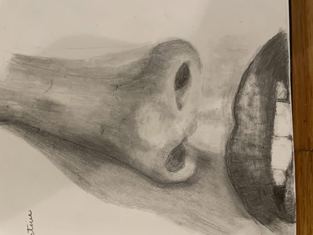 Noses - image 1 - student project