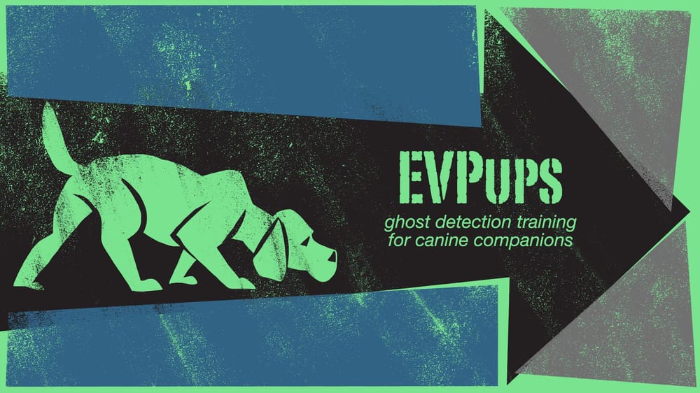 EVPups - image 5 - student project
