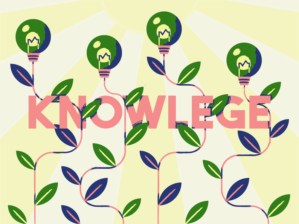 Vector Texture Practice - image 1 - student project