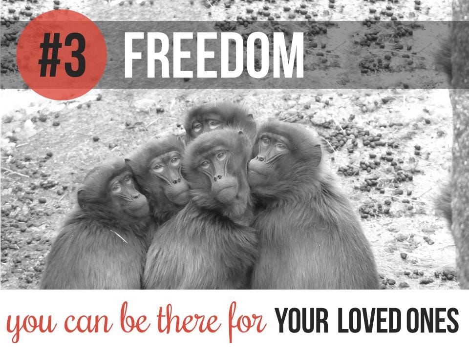 Top 5 Freelancing Freedoms - image 10 - student project