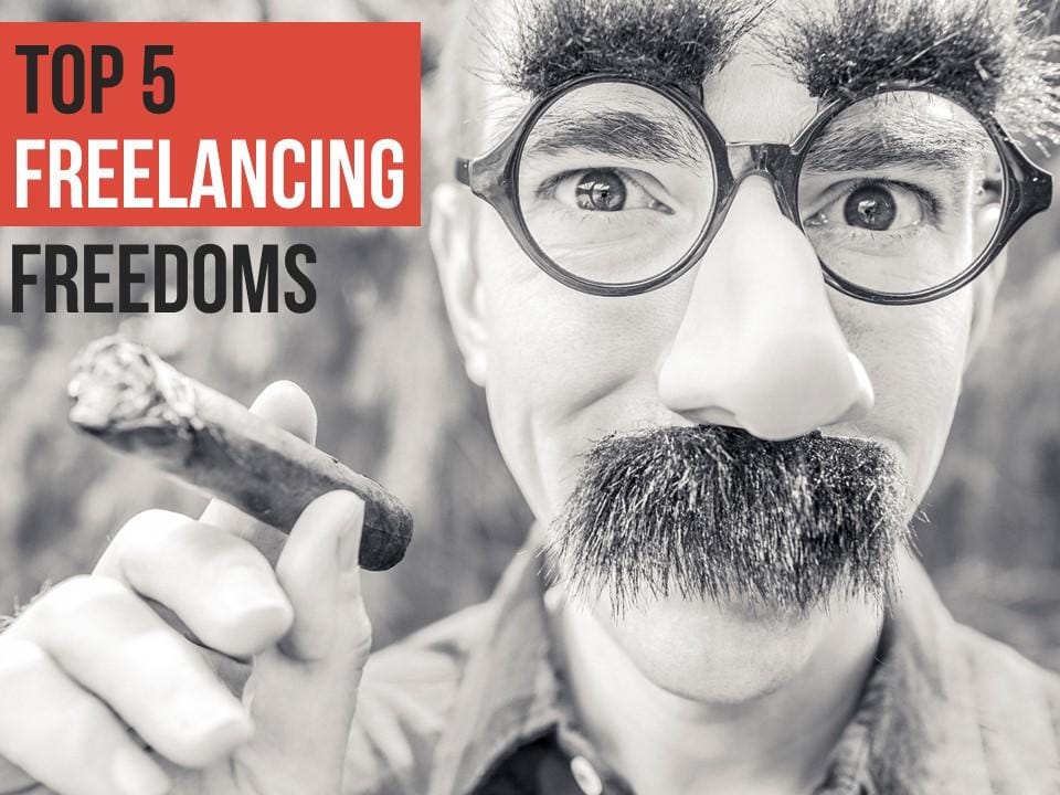 Top 5 Freelancing Freedoms - image 1 - student project