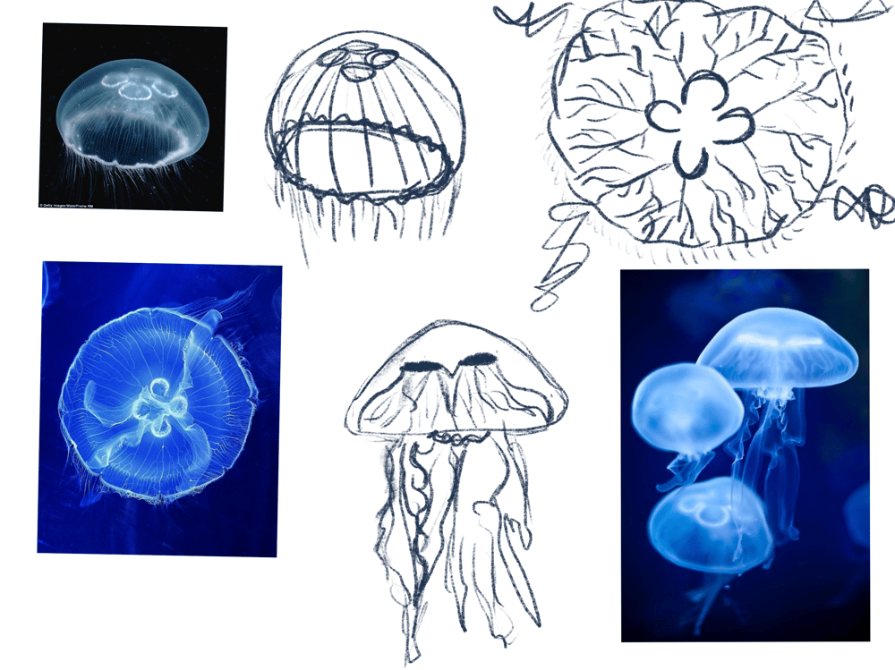 the science gal - 26 ways the ocean inspires - image 6 - student project
