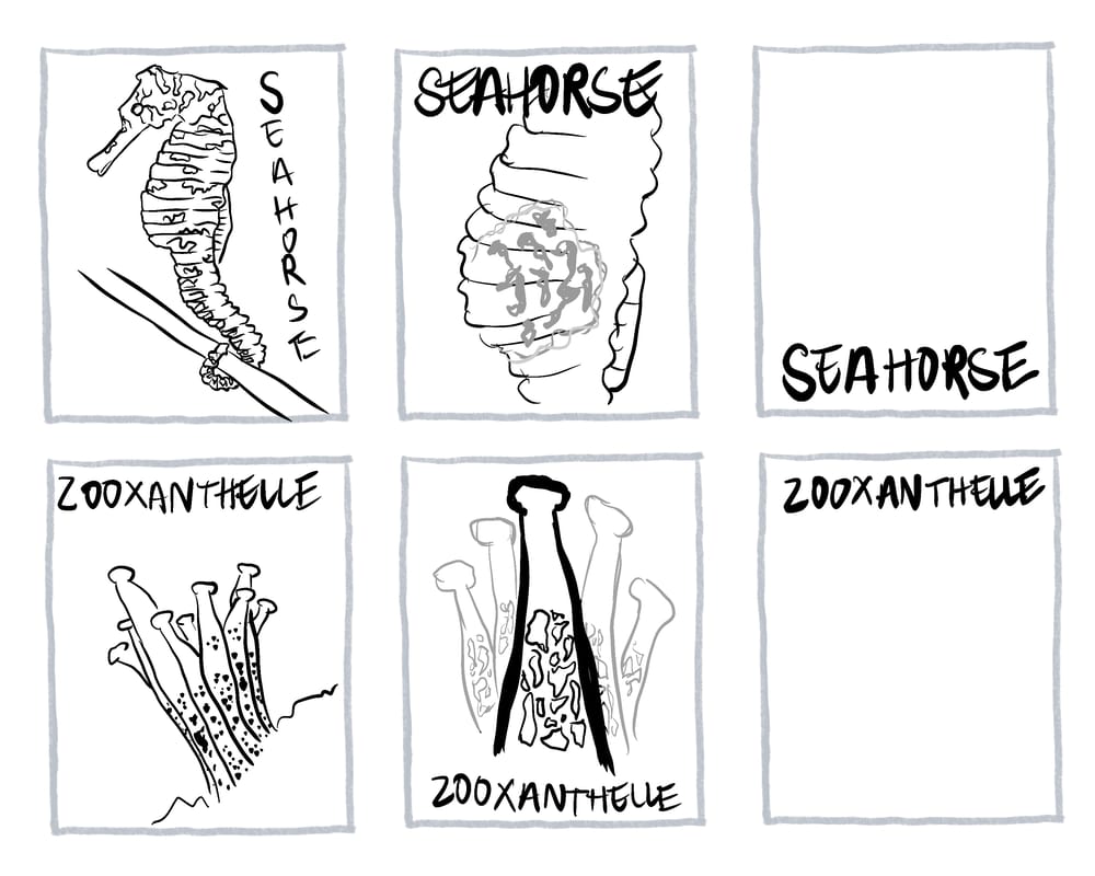 the science gal - 26 ways the ocean inspires - image 9 - student project