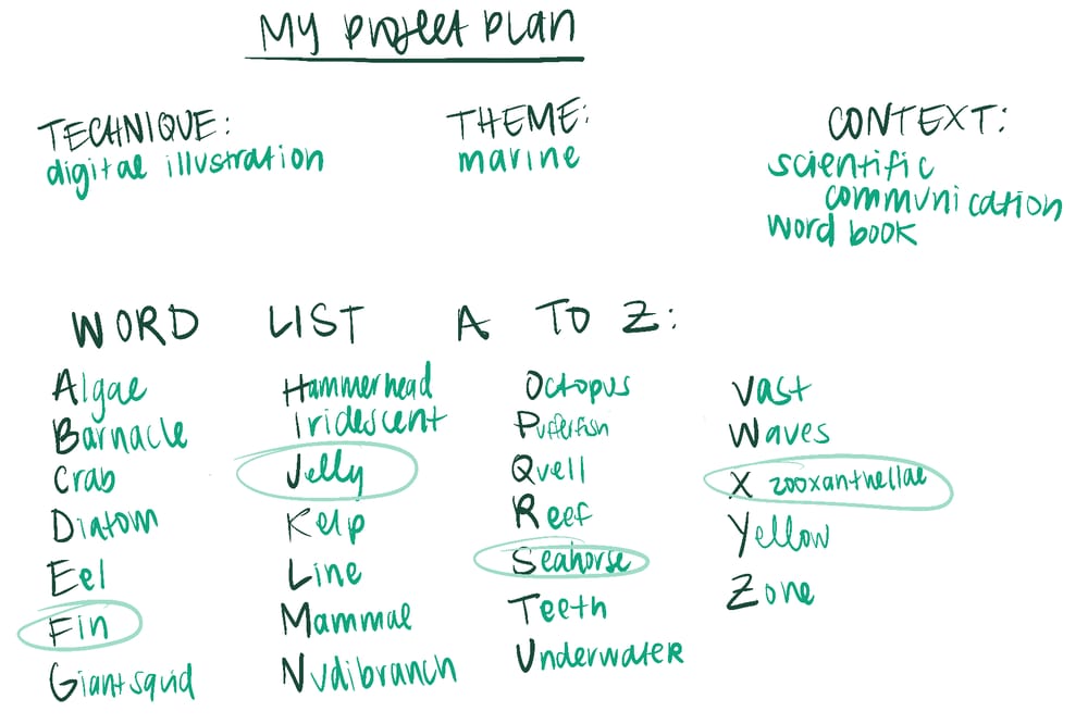 the science gal - 26 ways the ocean inspires - image 5 - student project