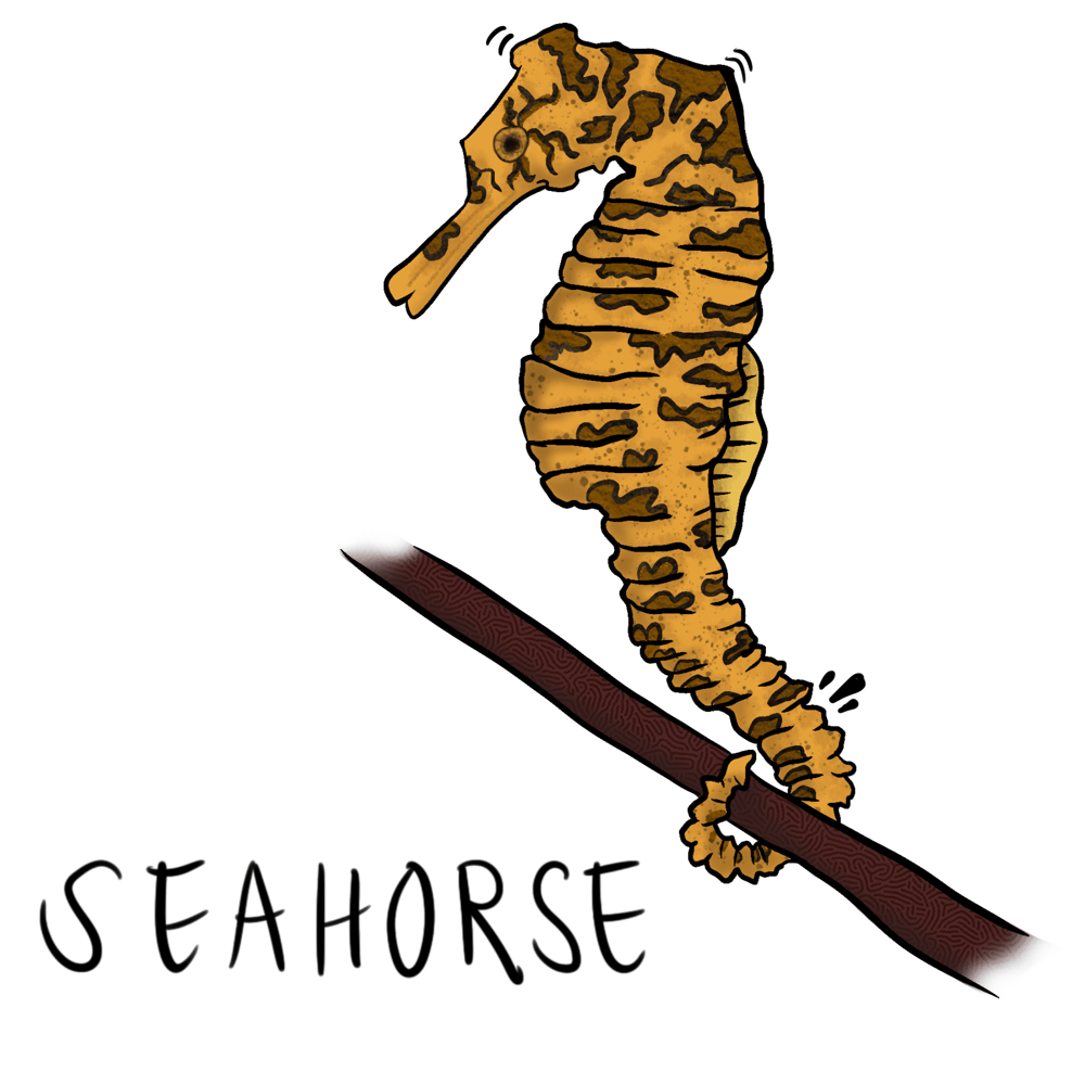 the science gal - 26 ways the ocean inspires - image 12 - student project