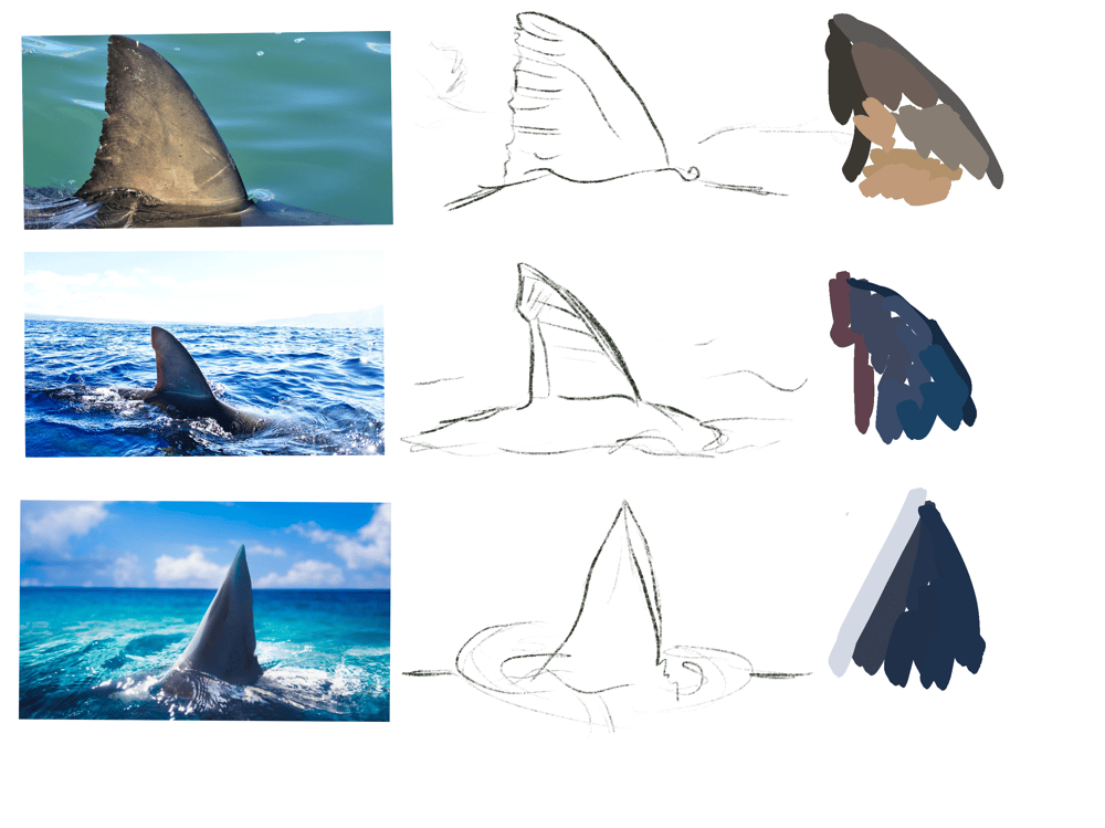 the science gal - 26 ways the ocean inspires - image 7 - student project