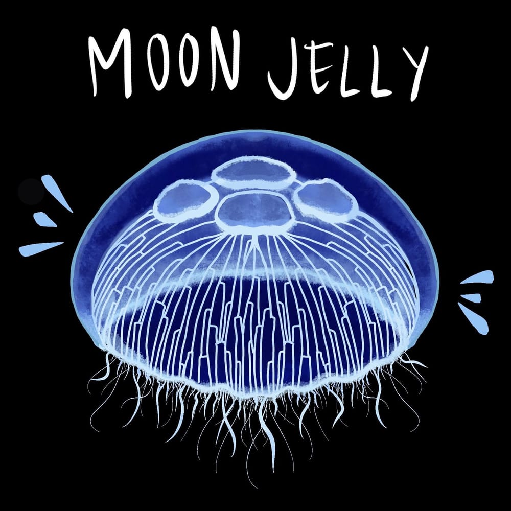the science gal - 26 ways the ocean inspires - image 10 - student project
