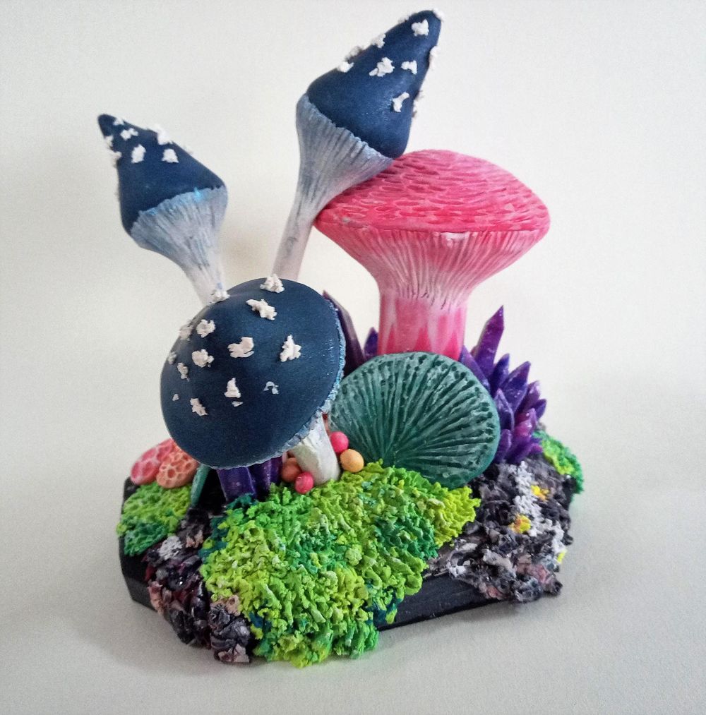 Mushrooms and crystals - image 1 - student project