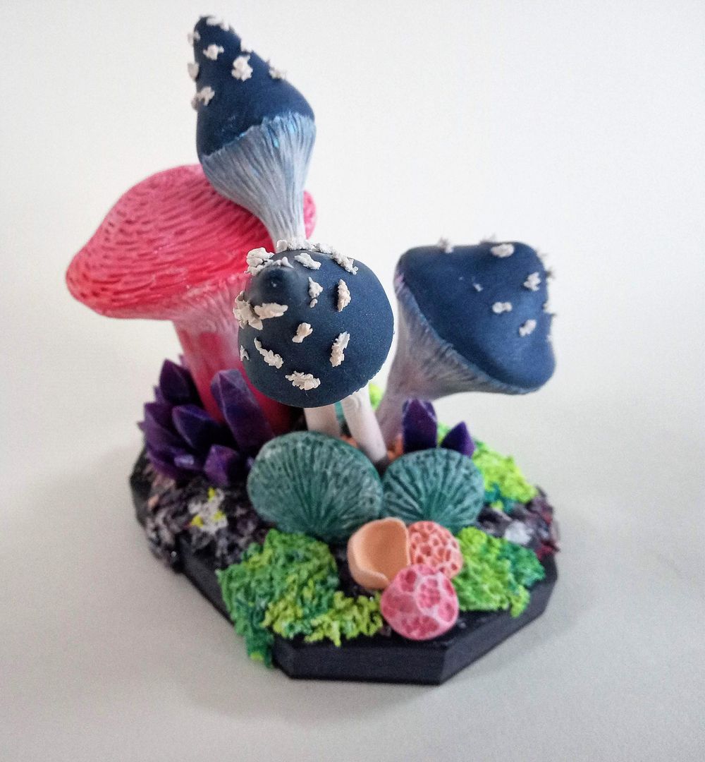 Mushrooms and crystals - image 2 - student project