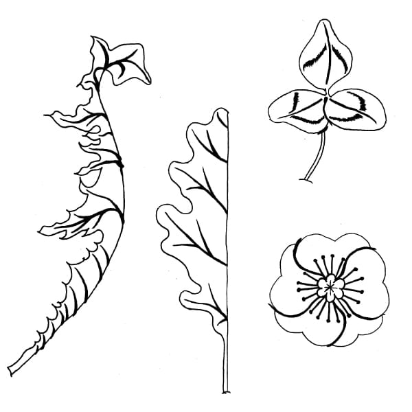 Damask of gathered greenery - image 1 - student project