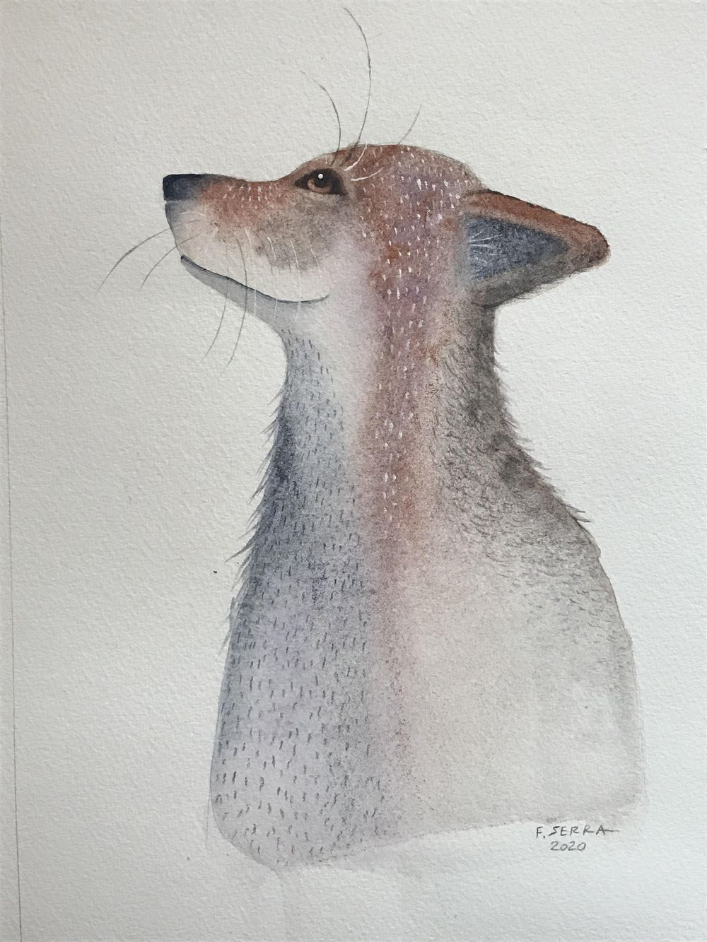 My little magic fox Skillshare Student Project