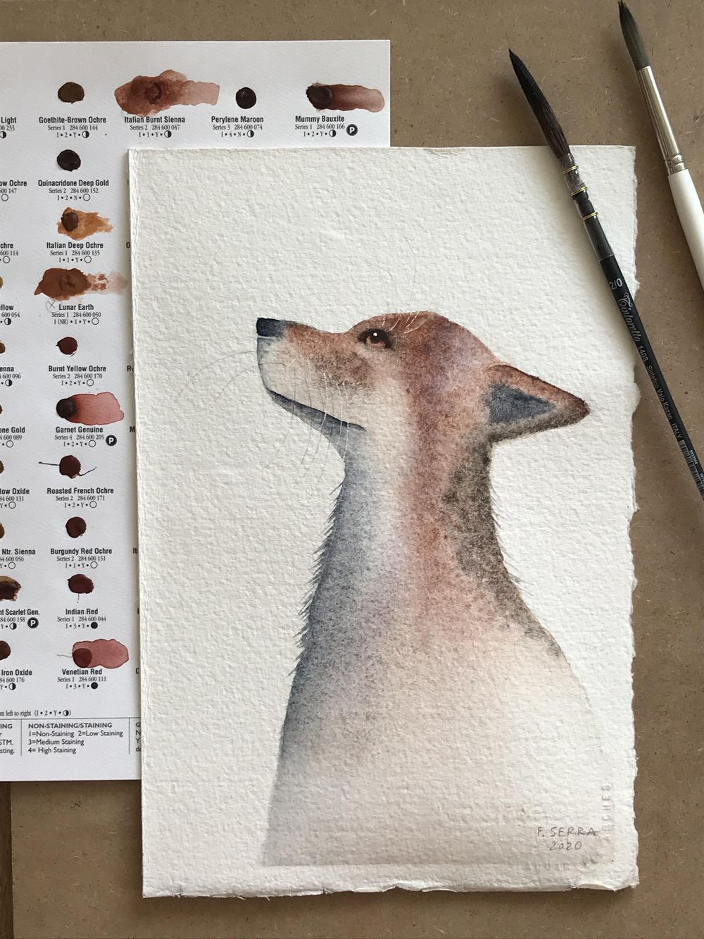 My little magic fox Skillshare Student Project