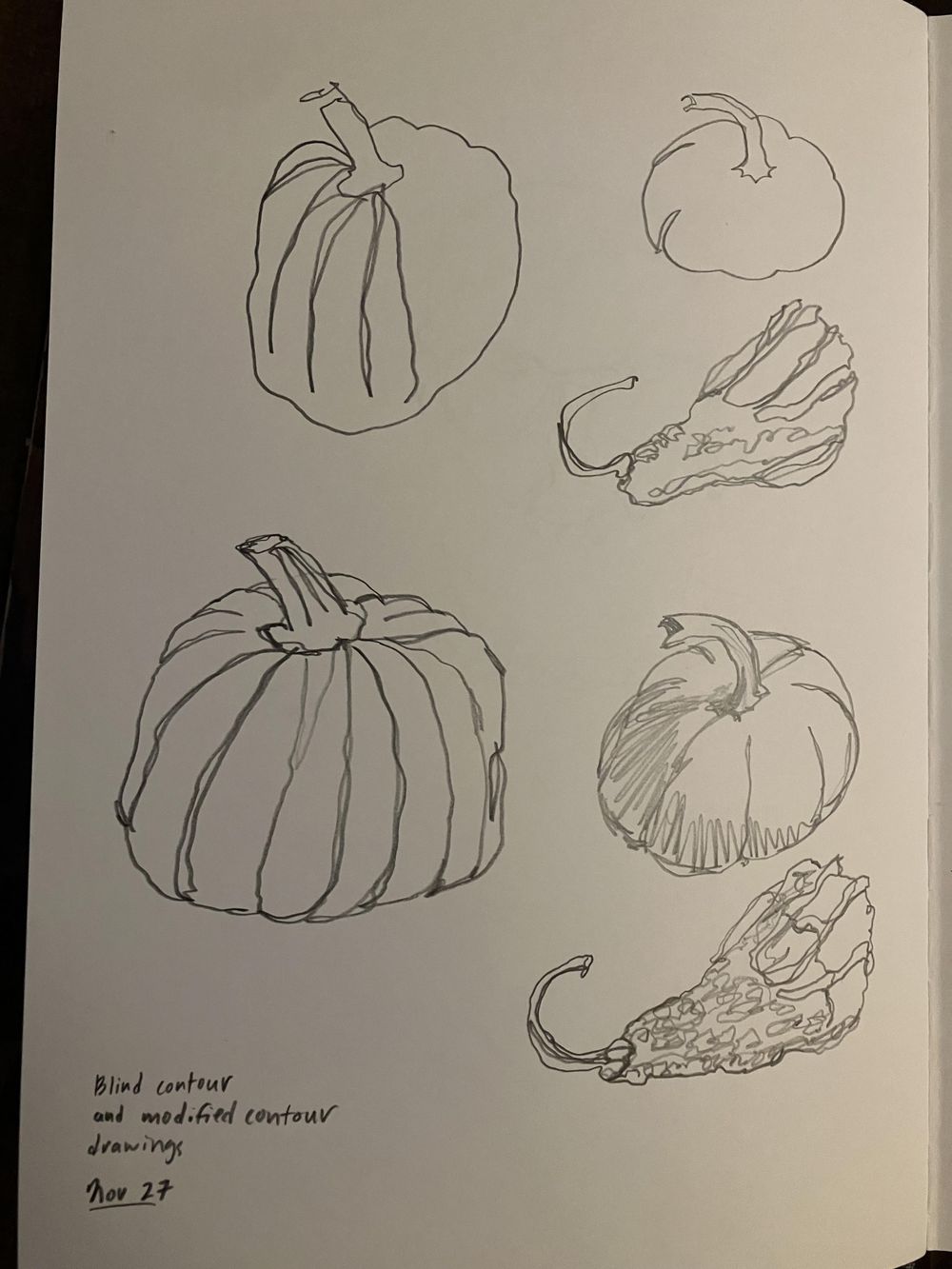 Contour drawings - image 1 - student project