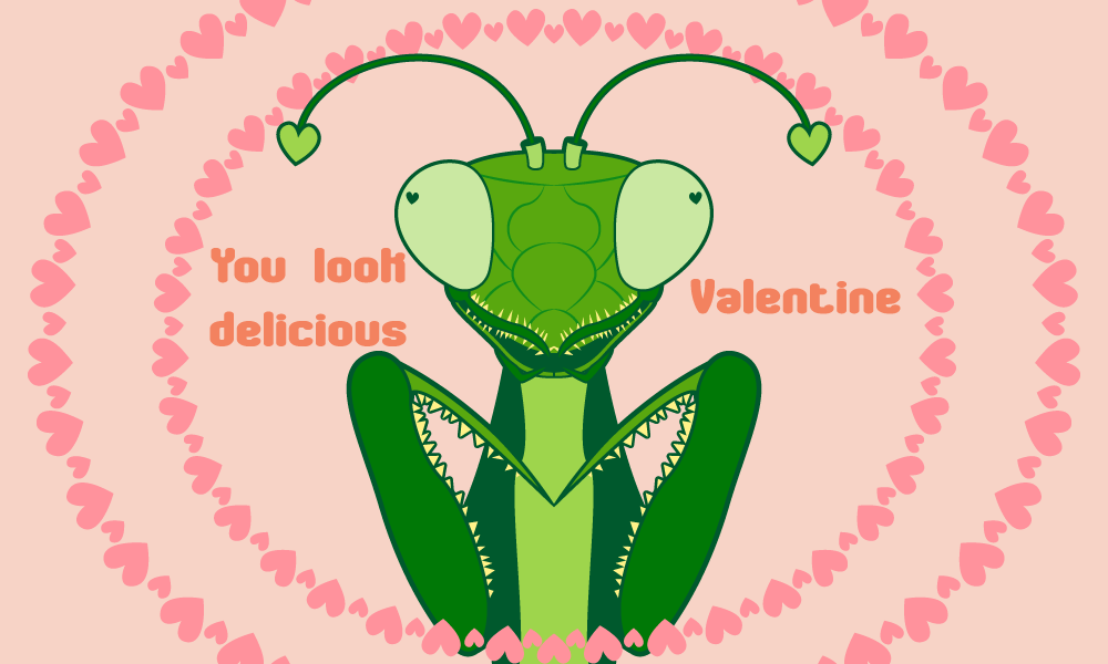 Mantis Valentine - image 1 - student project