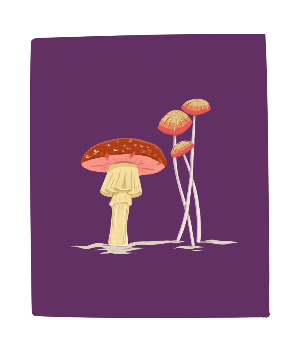 My Mushrooms - image 1 - student project