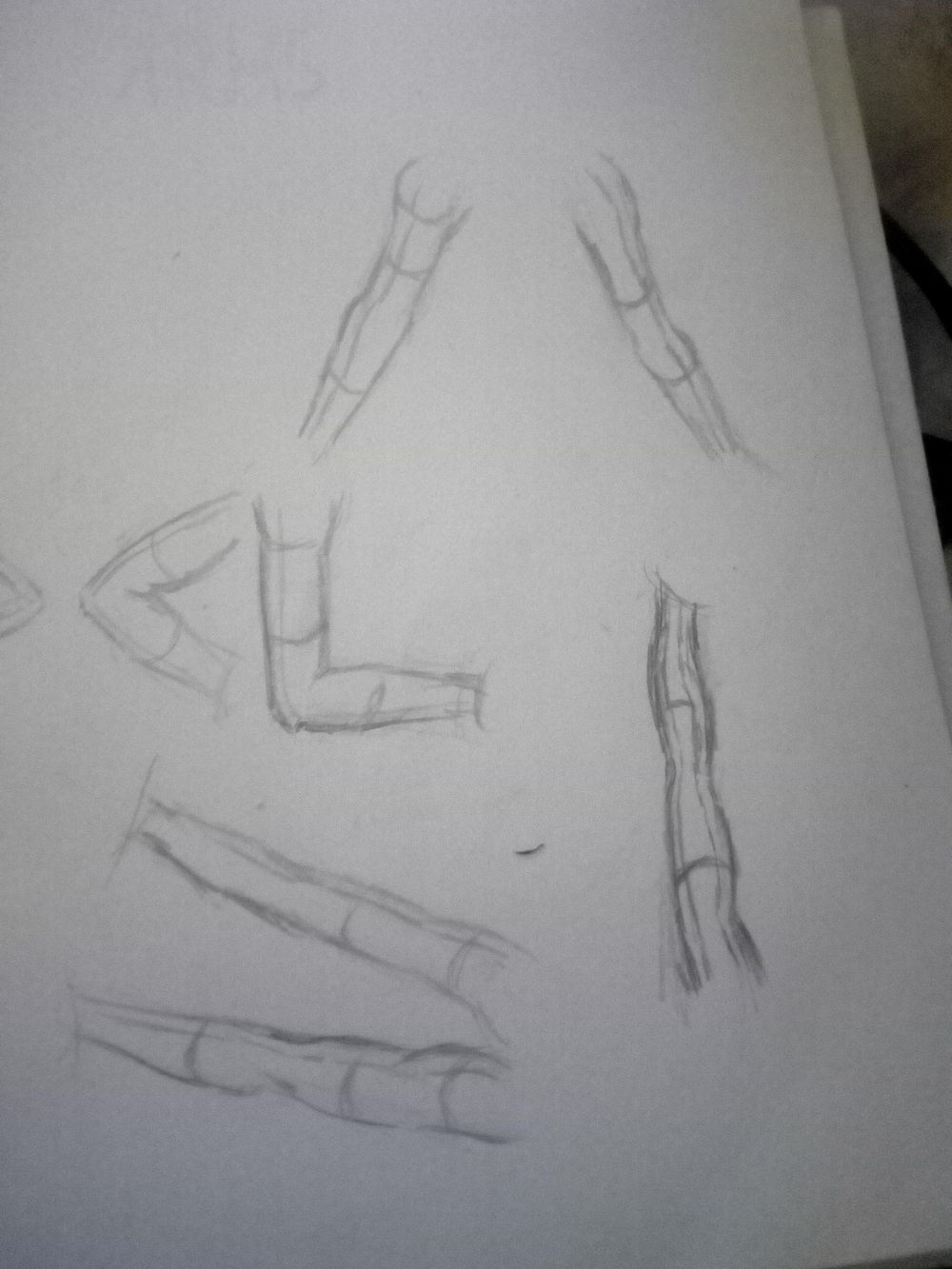 Practice (Body Parts) - image 7 - student project