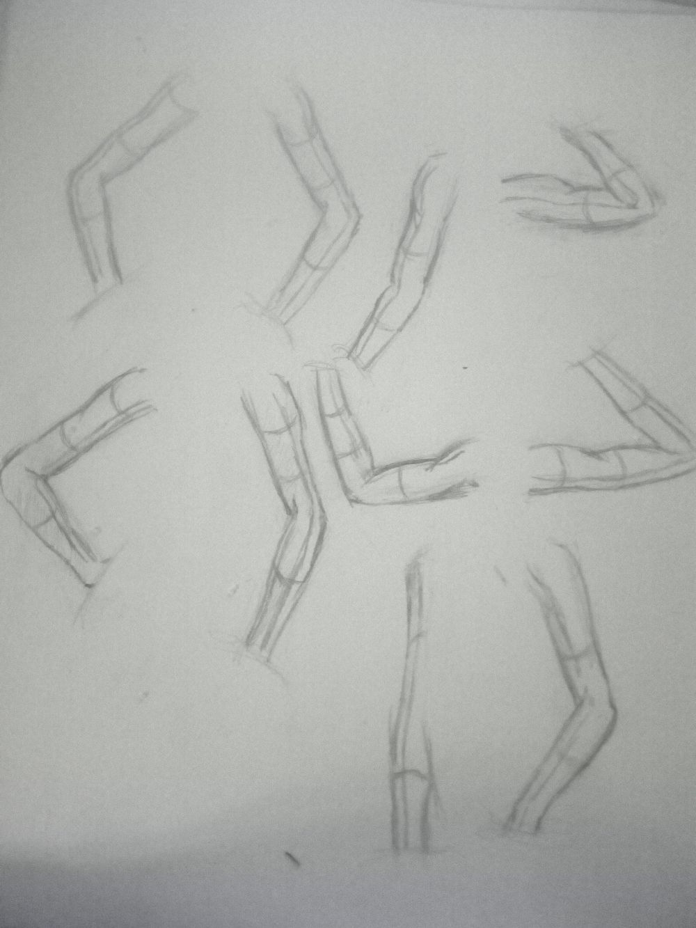 Practice (Body Parts) - image 8 - student project