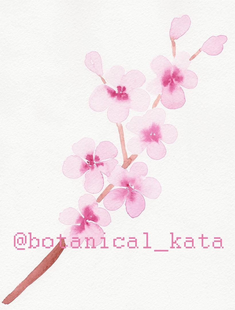 Sakura pattern - image 1 - student project