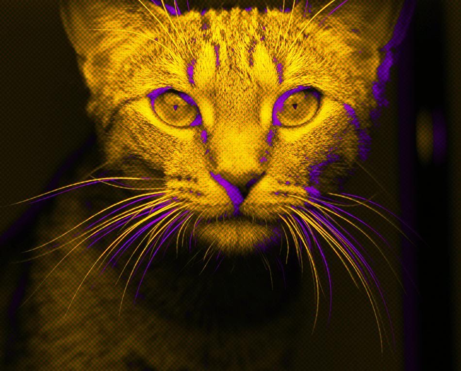 Experimenting a lot - image 3 - student project