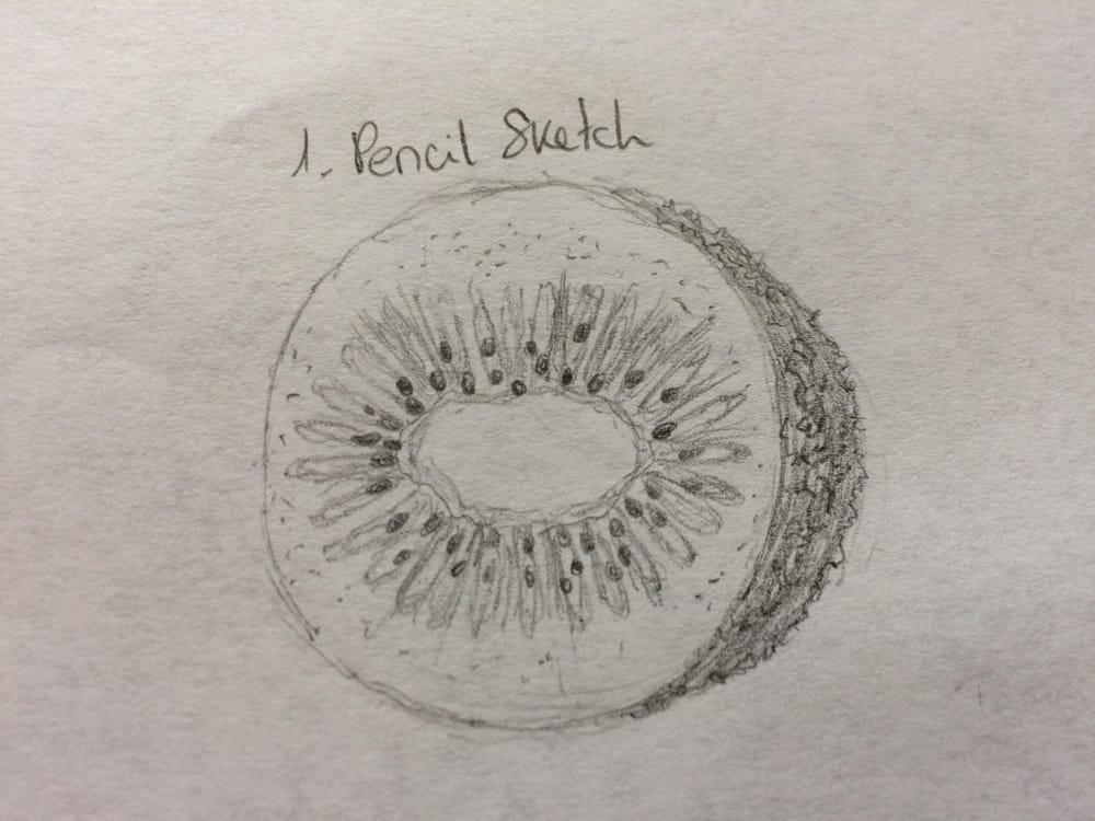 Kiwis! - image 1 - student project