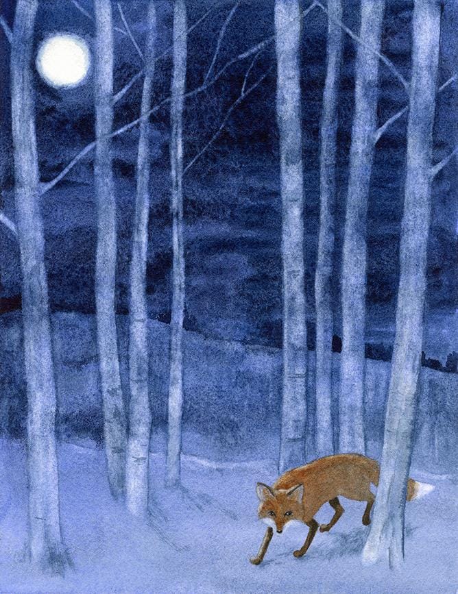 Moonlit Fox - image 1 - student project