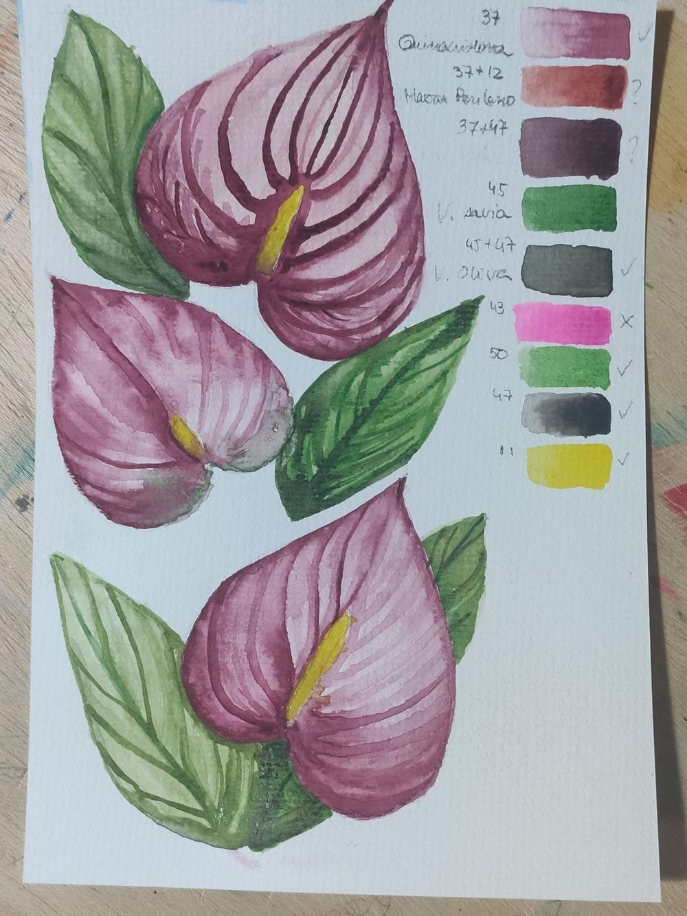 The proyect: Anthurium - image 1 - student project