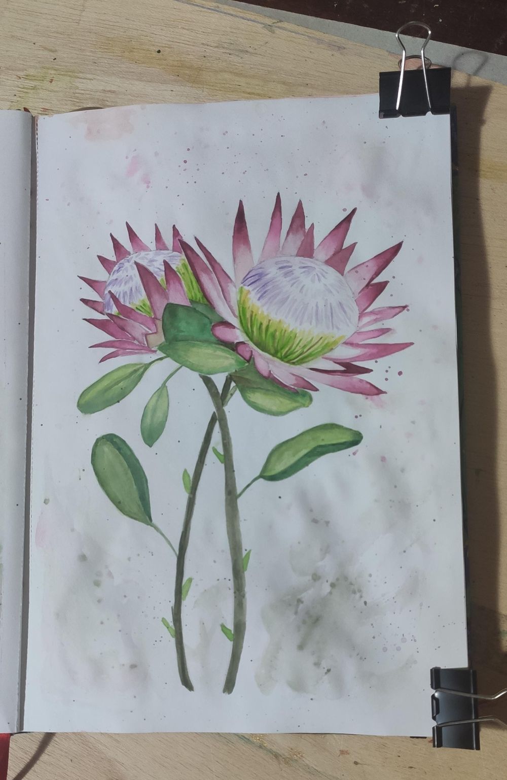 King protea - image 1 - student project