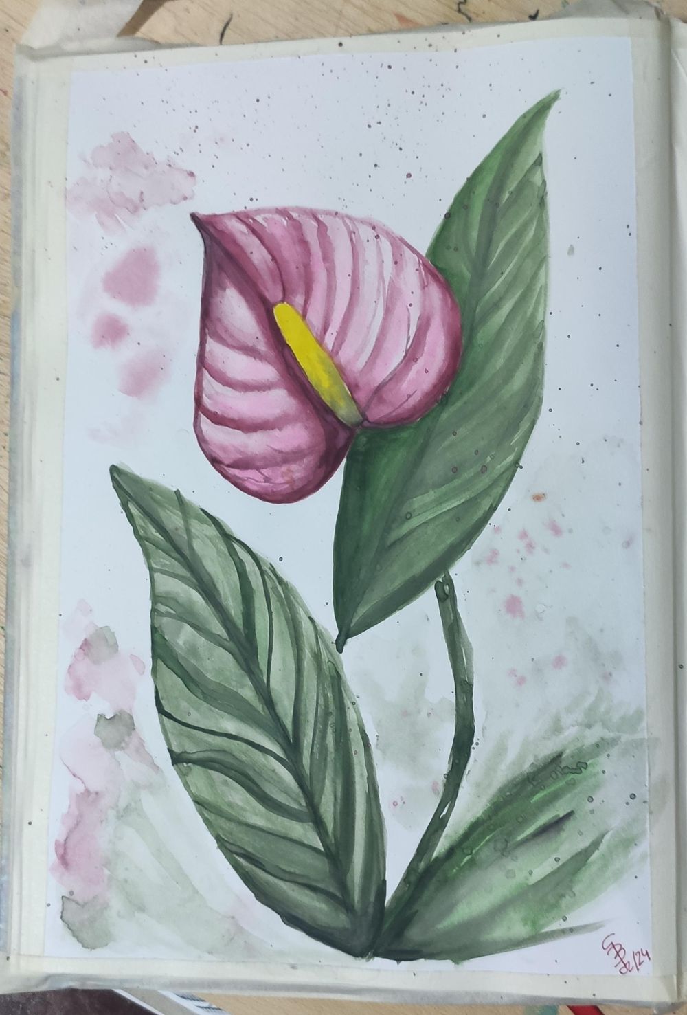 The proyect: Anthurium - image 2 - student project