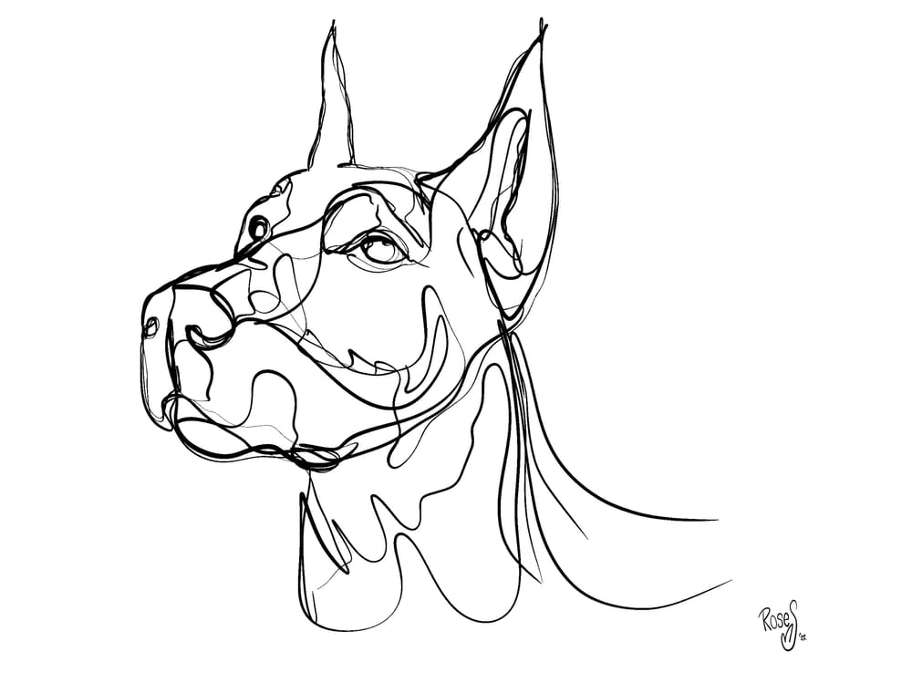 Line art animal portraits in procreate - image 2 - student project