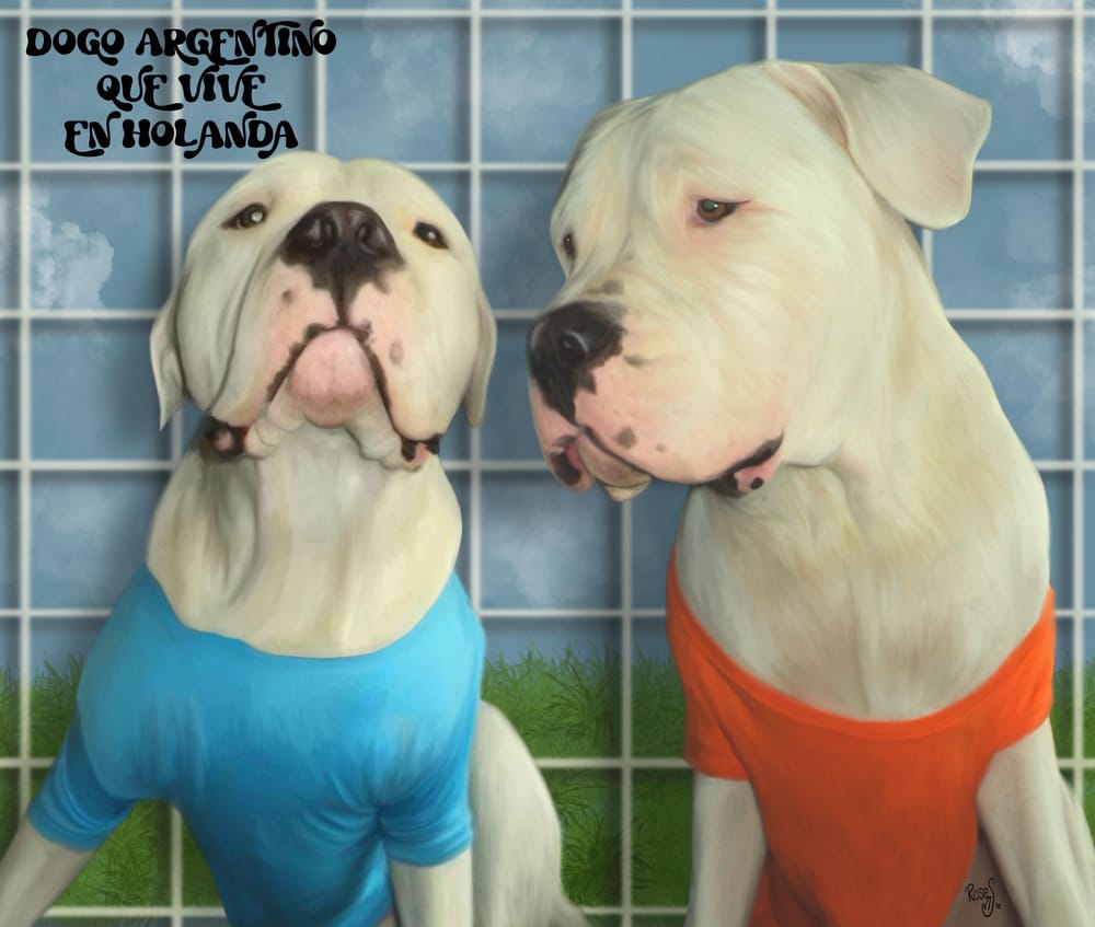 Turning a photo in to a pet portraits in Procreate Skillshare Student